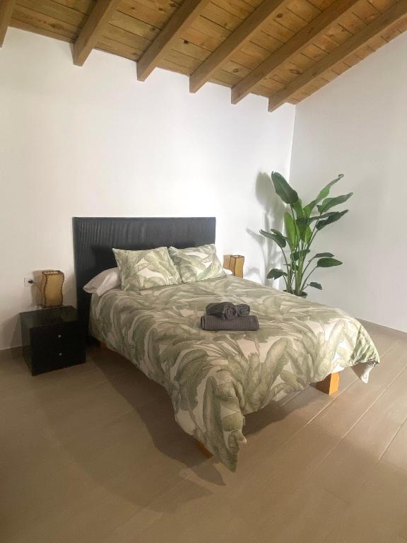 Apartamentos Algodonales - B&B Algodonales