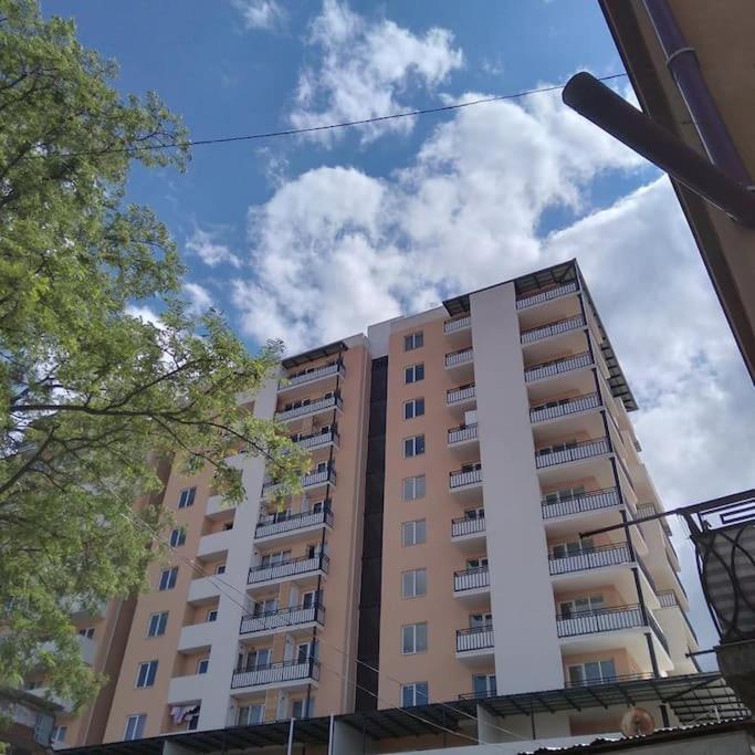 Meskheti Tower Unit 78 - B&B Ajaltsije