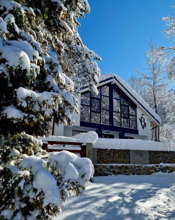 Vila Blanc Valiug Crivaia - B&B Văliug