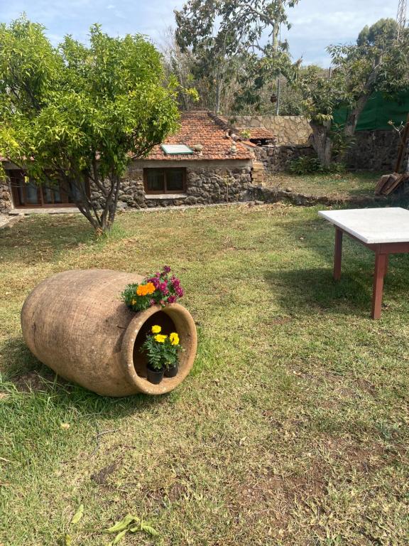 Rural House to take a Break, La Serreria 25 - Private garden - B&B Tacoronte