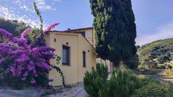 Casa Gaia - B&B San Giuliano Terme