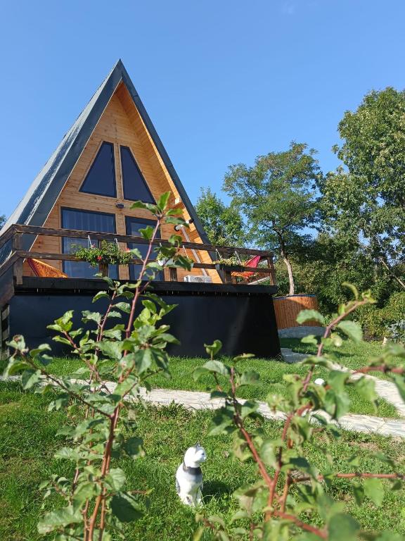 Carpatina A-Frame Retreat - Rustic Cabins for Couples - Bed and Breakfast Runcu