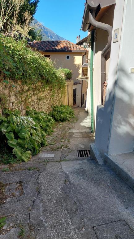 Il Vicoletto - B&B Vittorio Veneto