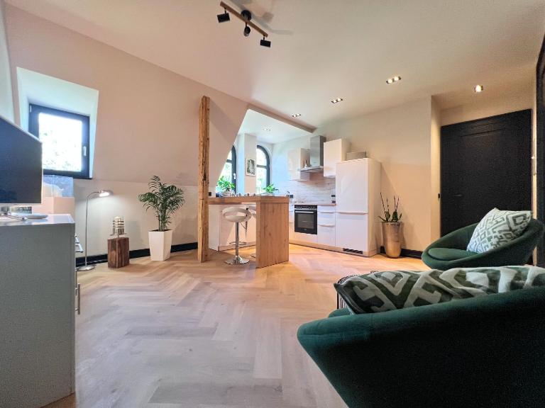 außergewöhnliche Ferienwohnung Stadtvilla Plauen - B&B Plauen