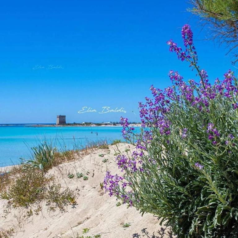 Porto Cesareo Residenze - Chambres d'hôtes Porto Cesareo