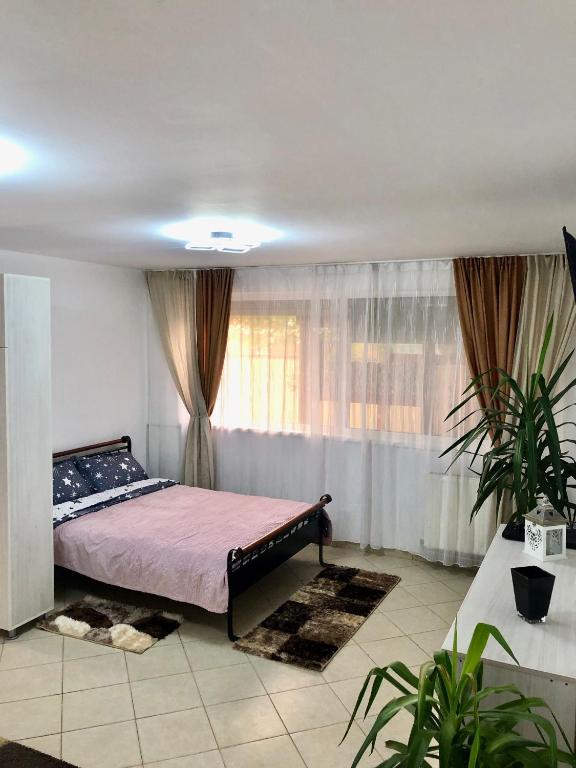 Casa Daria - B&B Râmnicu Vâlcea