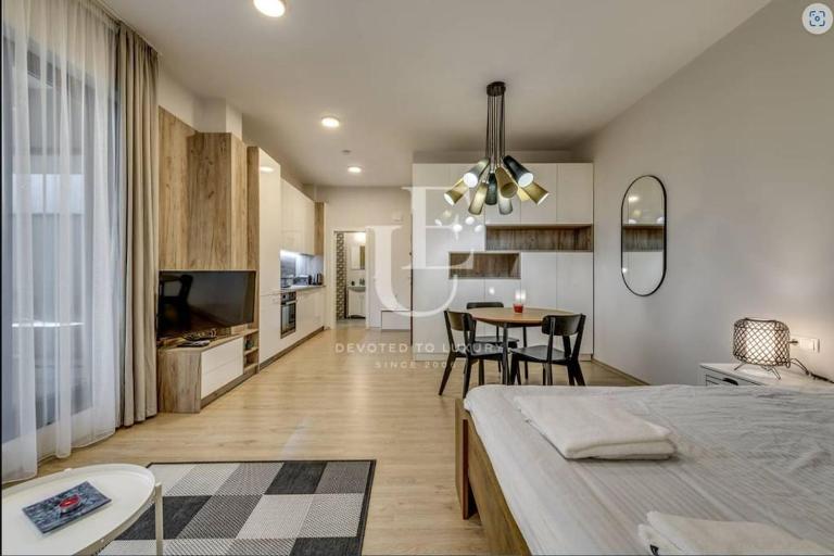 Geneva: A charming patio studio with private parking! - Bed and Breakfast Sofia