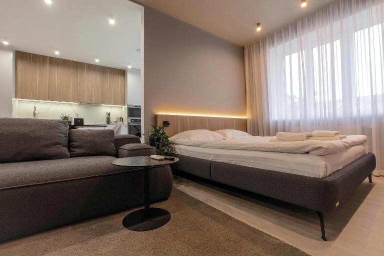 Cactus Apartments 2 - B&B Ivano-Frankivs'k