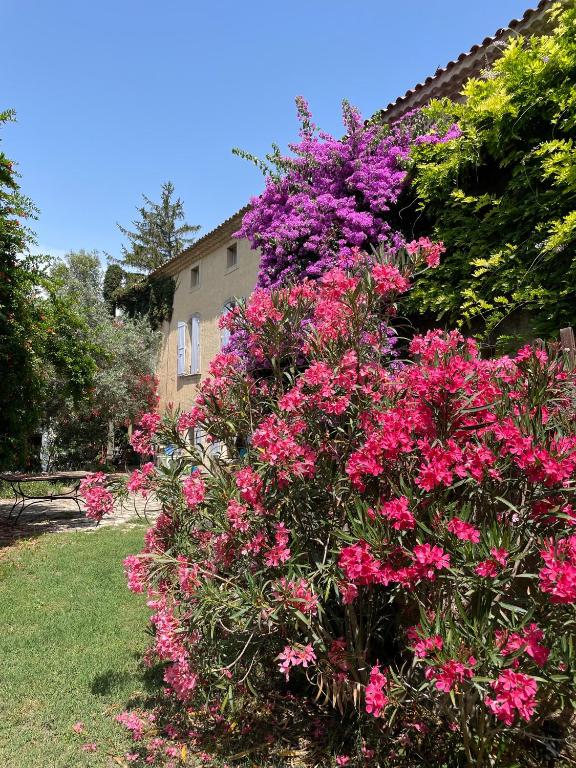 La Gandonne - B&B Caderousse