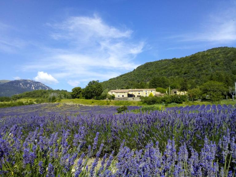 Auberge de Miélandre - Bed and Breakfast Teyssières