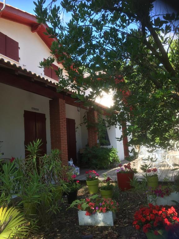 Maison familiale en plein centre du Cap Ferret - Ferienwohnung Lège-Cap-Ferret