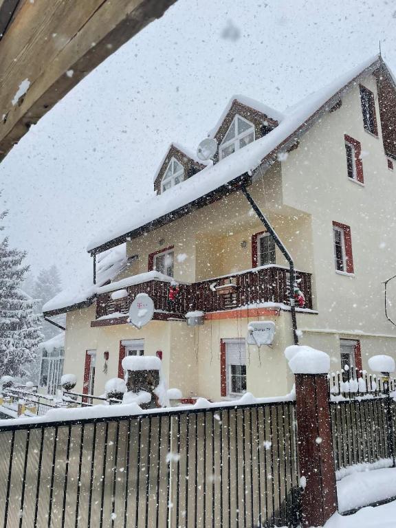 Celesta Trei Brazi - Bed and Breakfast Predeal