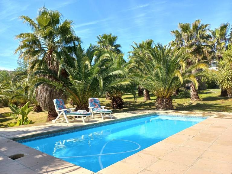 The Farmhouse Palm Tree Cabin - Bed and Breakfast Stellenbosch