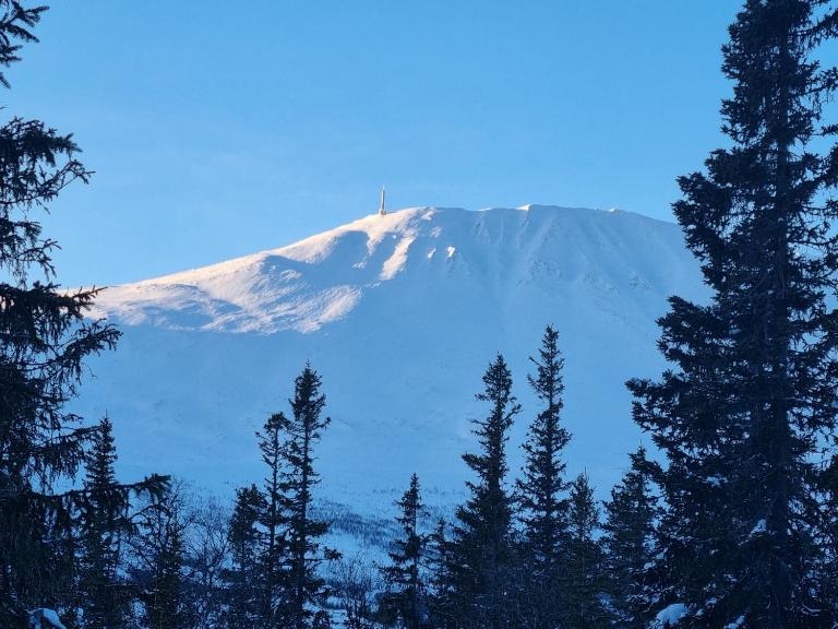 Fin leilighet med flott utsikt til Gaustatoppen - Ferienwohnung Rjukan