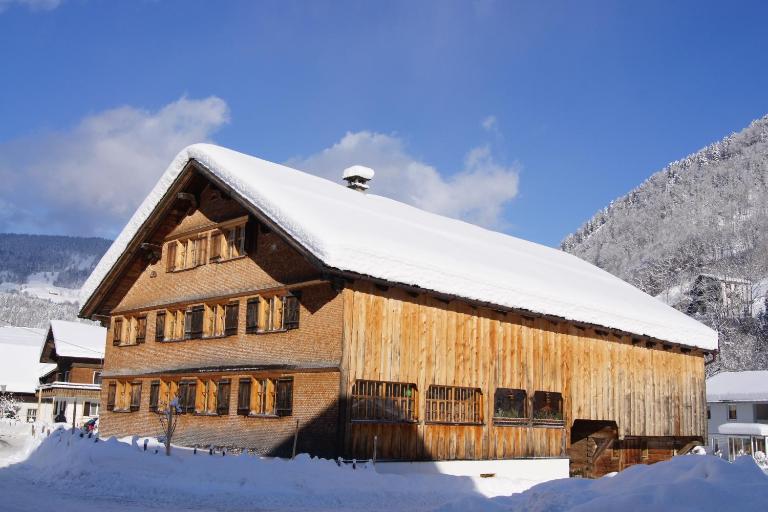 Naze`s Hus Mellau - Ferienwohnung Mellau