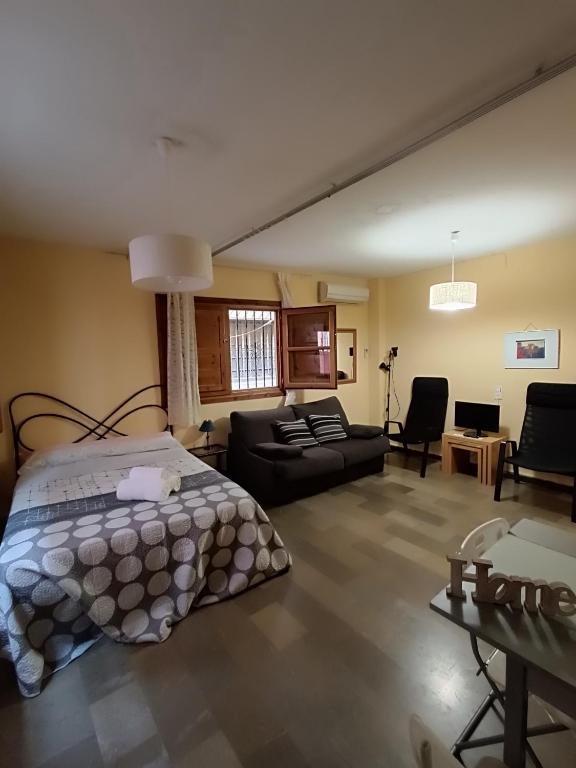 Céntrico estudio en Granada - B&B Granada