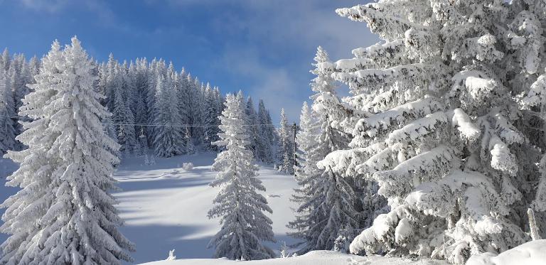 Apartmani Nina Košuta - Chambres d'hôtes Jahorina