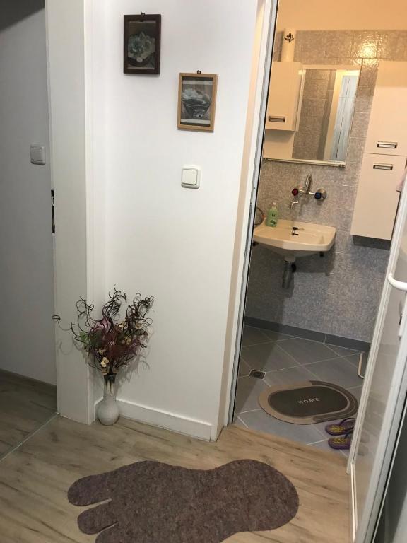 Cozy loft apartment - B&B Pleven