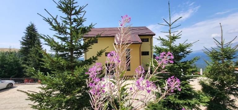 Pension Valea Mariei - Ferienwohnung Rânca
