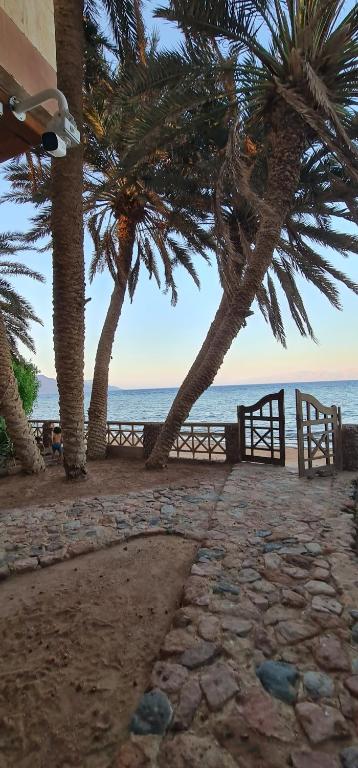 Abed house b - B&B Dahab