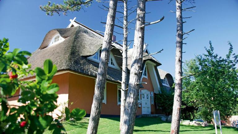 Haus Strandgut FW 7 - Ferienwohnung Ostseebad Ahrenshoop