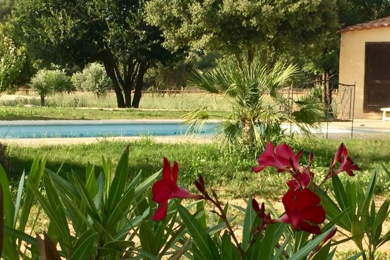 Coin de paradis en Provence - B&B Saint-Cannat