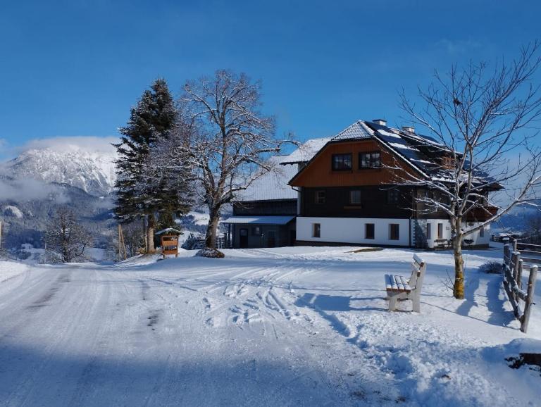 Appartement Schwarzkoglerhof - B&B Haus im Ennstal