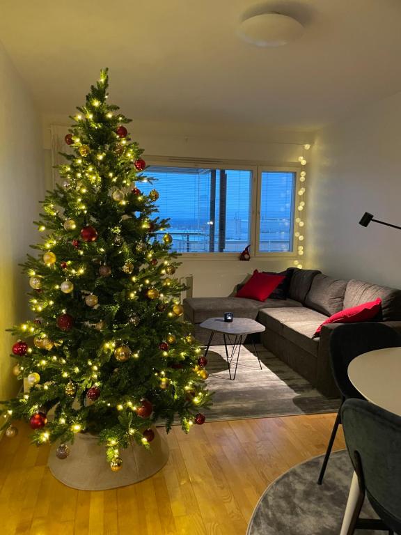 Arctic Circle City Apartment - Bed and Breakfast Rovaniemi