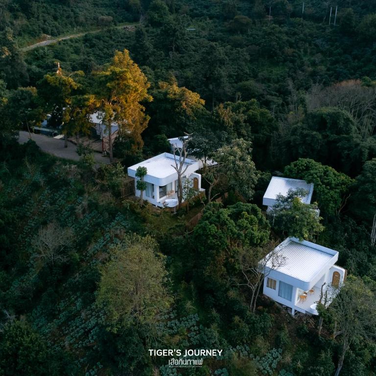 Arabica Lodge (อาราบิก้า ลอดจ์) - Bed and Breakfast Ban Huai Khai