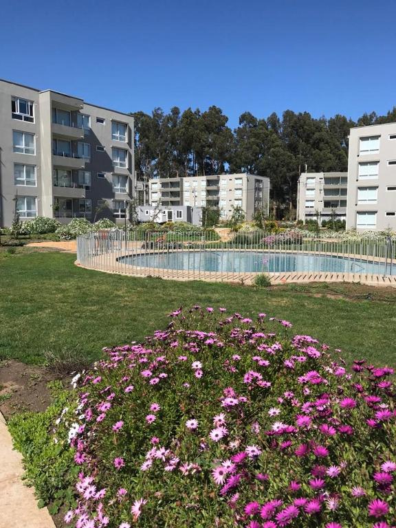 Arriendo Vacacional Papudo - Bed and Breakfast Papudo