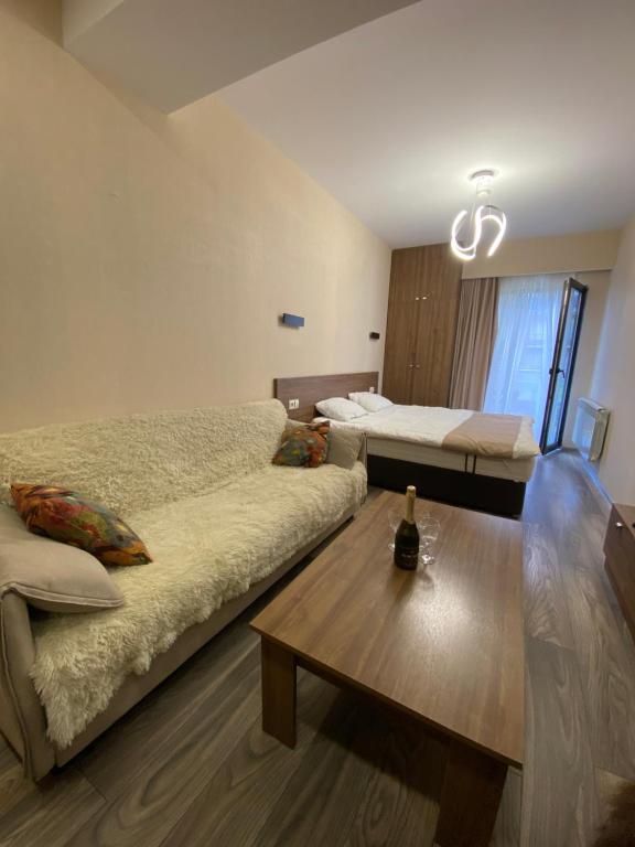 Crystal resort b209 - B&B Bakuriani