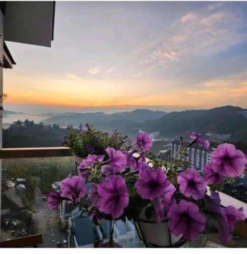 Kensington Sunrise sg, Palas Horizon,kea farm - Chambres d'hôtes Brinchang