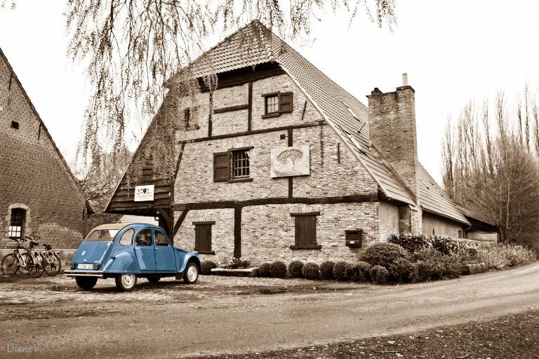 Gastenlogies Blauwe Schaap - B&B Ranst