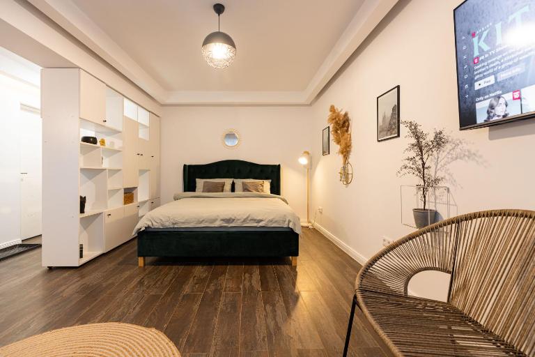 Ultra central apartment - B&B Baia Mare