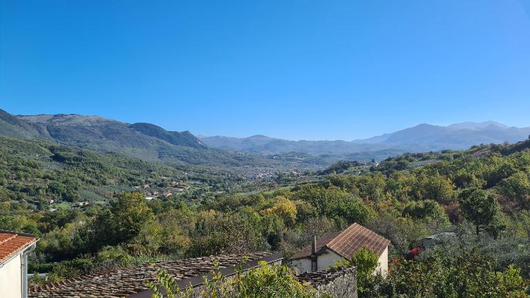 La collina degli ulivi - B&B Conocchia