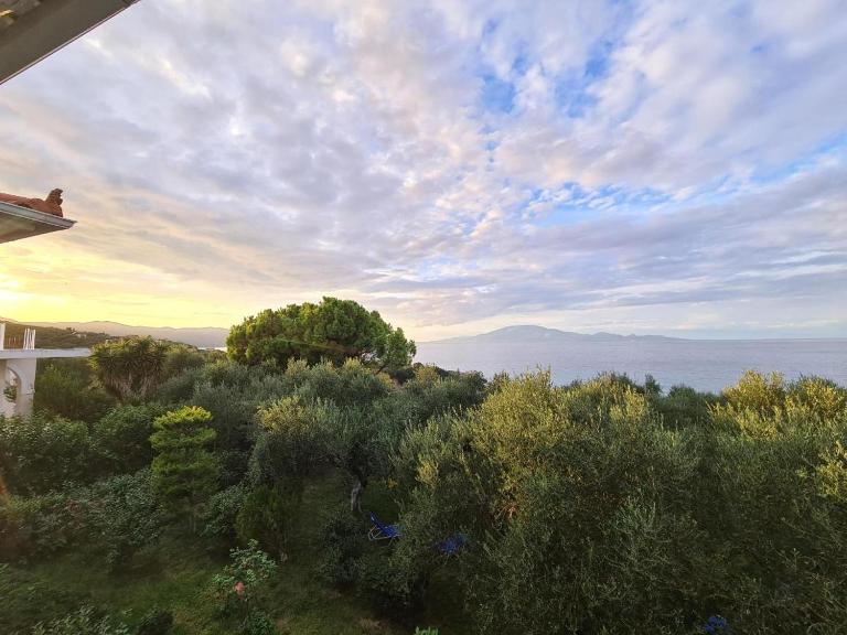 VILLA AGIA AIKATERINI - B&B Ammoudi