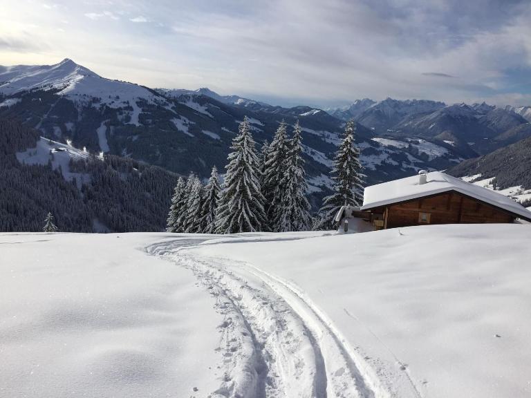 Apartment Haus Schönwies - B&B Alpbach