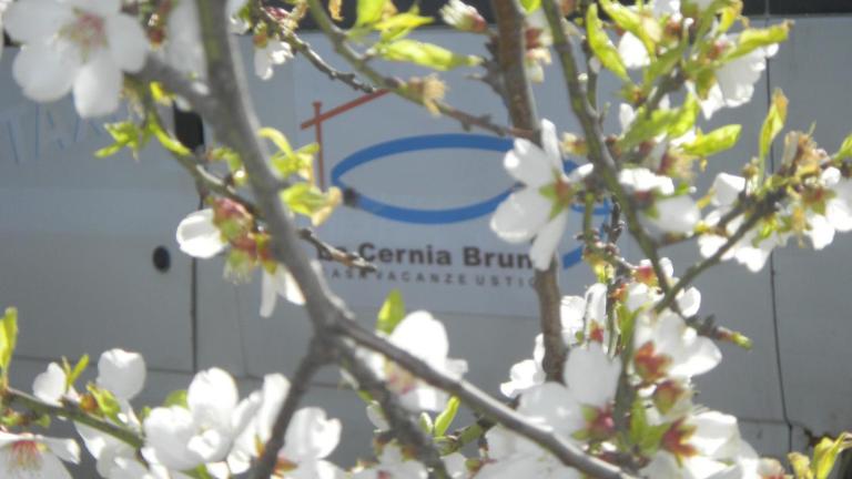 Case Vacanze La Cernia Bruna - Chambres d'hôtes Ustica