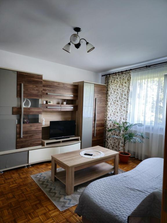 Studio Bulevardul Victoriei - B&B Brasov