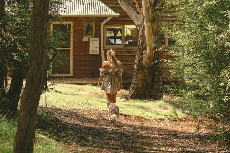 Little Olive Cabin - B&B Porepunkah