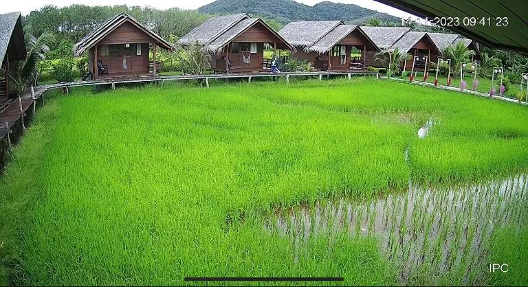 NammNatawn2 - Bed and Breakfast Chian Yai