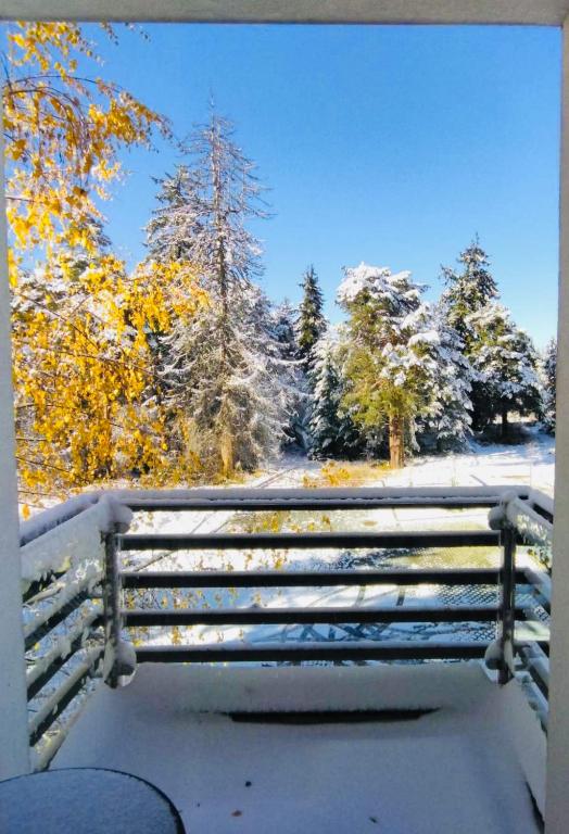 Forest nest - your place to rest! - Chambres d'hôtes Borovets