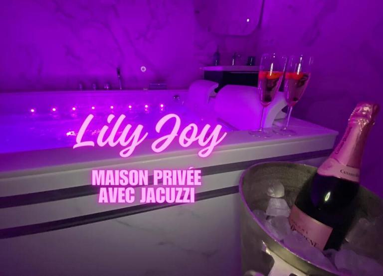 Maison avec Jacuzzi - Louvres proche Roissy CDG - Paris - B&B Louvres
