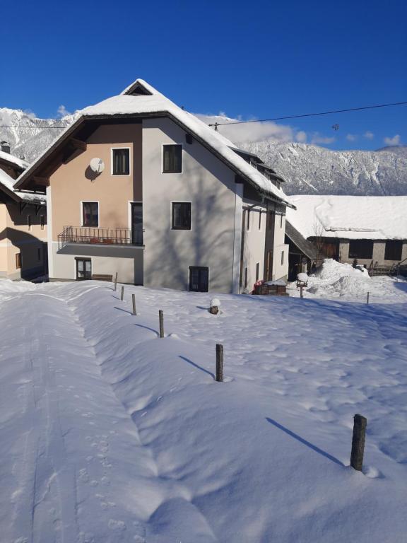 Haus Nampolach - B&B Latschach