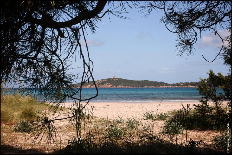 Villa Florida, 8 pers, vue montagne, 350 m plage à pieds - Chambres d'hôtes Pinarellu