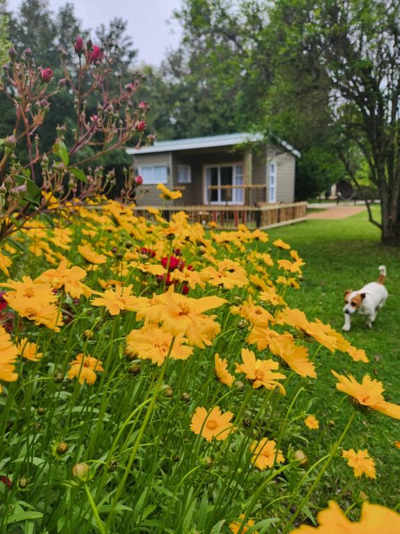 Tsitsikamma Garden Chalets - B&B Stormsrivier
