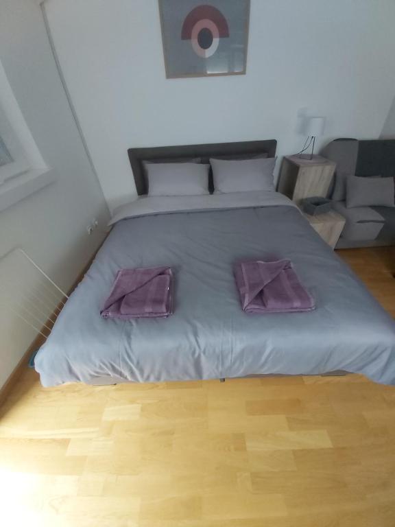 Apartman NALE - Bed and Breakfast Vrnjačka Banja