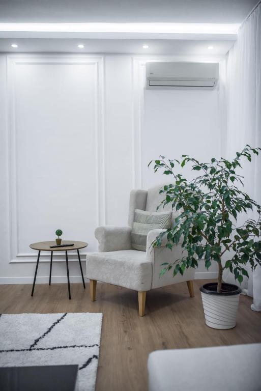 The SKVER-Elegant City Apartmant - Bed and Breakfast Požarevac