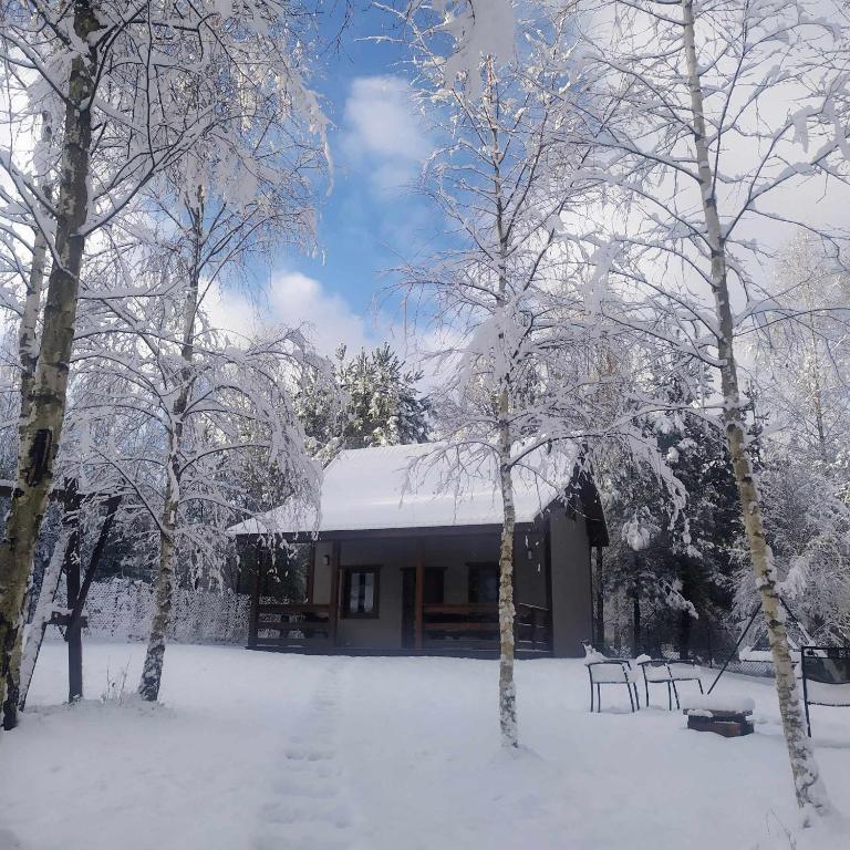 Zbychowskie Zacisze - B&B Zbychowo