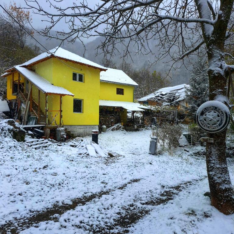 STD "Vila Bor" - Ferienwohnung Crni Vrh